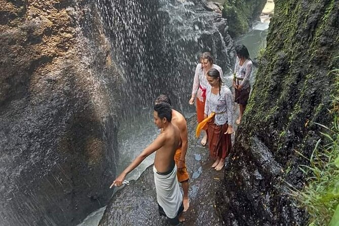 natural holy waterfalls healing tour. - Tegalalang lunch comes with a famous view