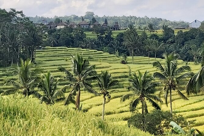 North Bali Private Tour - All Inclusive - Banyumala Twin Waterfalls, the active part of the day