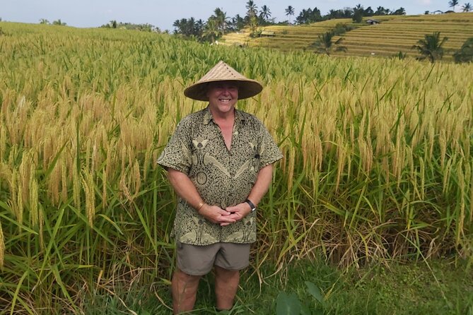 North Bali Private Tour - All Inclusive - Jatiluwih, Bali’s wide rice-growing country