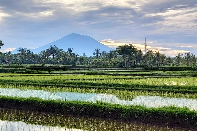 North Bali Private Tour - All Inclusive - Timing, comfort, and what to pack
