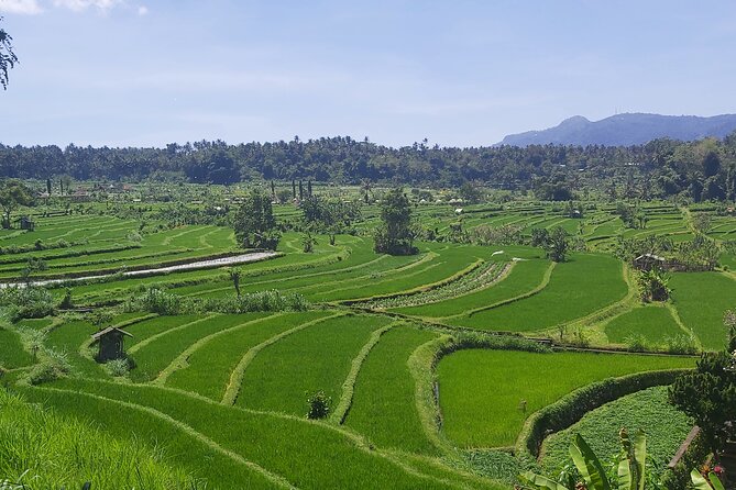 North Bali Private Tour - All Inclusive - Handara Iconic Gate and the photo-stop question