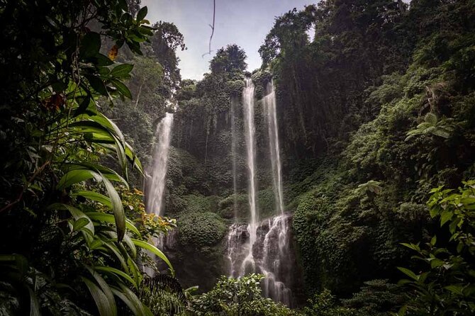 North Bali Tour: Banyumala Waterfall & Wanagiri Hidden Hills - Key things to know before you book