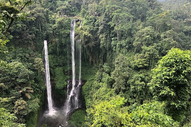 North Bali Tour: Banyumala Waterfall & Wanagiri Hidden Hills - The long ride from Ubud to North Bali