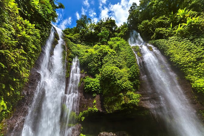 North Bali Tour: Banyumala Waterfall & Wanagiri Hidden Hills - Bayan Ancient Tree and the Kayu Putih story