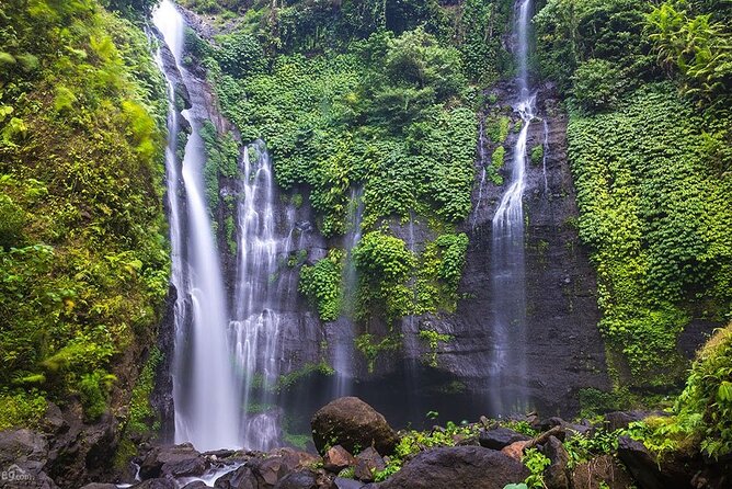 North Bali Tour: Banyumala Waterfall & Wanagiri Hidden Hills - Wanagiri Hidden Hills and the Bali swing