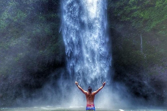 Nungnung Waterfall,Jatiluwih Heritage UNESCO and Bedugul Tour - Nungnung Waterfall: a strong first stop