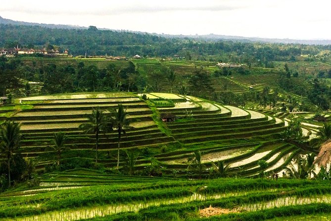 Nungnung Waterfall,Jatiluwih Heritage UNESCO and Bedugul Tour - Lake Beratan and Ulun Danu Beratan
