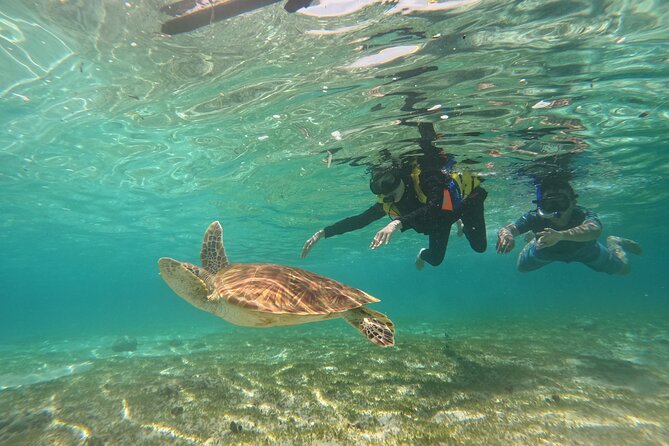 Nusa Penida & Gili Trawangan 3Days 2Night (Snorkeling) - Crossing to Gili Trawangan on day two