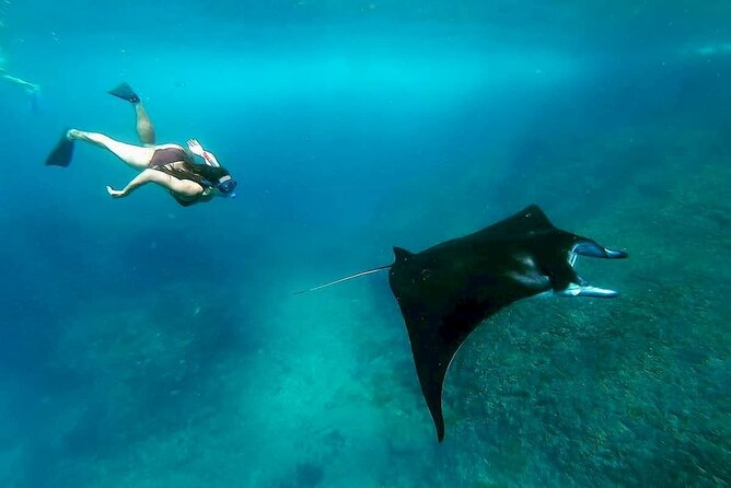 Nusa Penida Snorkeling 3 Point with Manta Bay & Land Tour - What the $51.57 package really buys you