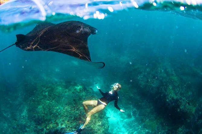 Nusa Penida Snorkeling & Kelingking Tour - Why this Ubud day trip packs in so much