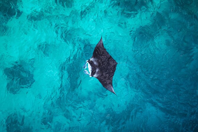 Nusa Penida Snorkeling with Manta Bay and Land Tour - Key points to know before booking