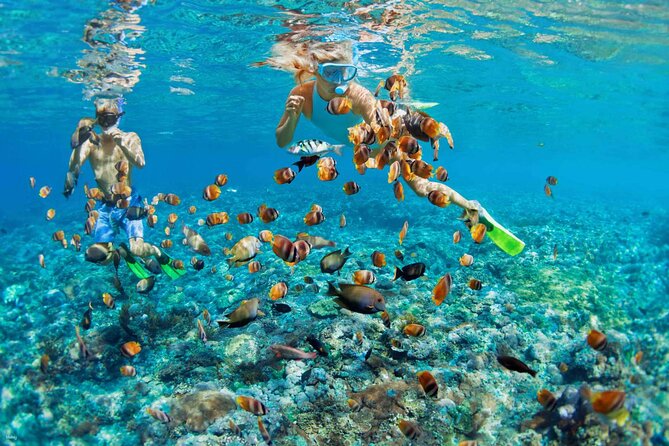 Nusa Penida Snorkeling with Manta Bay and Land Tour - One day, two very different sides of Nusa Penida