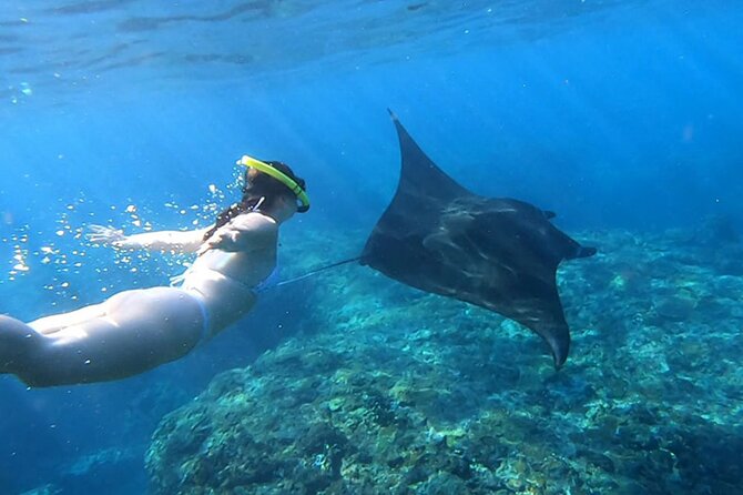 Nusa Penida Snorkeling with Manta Bay and Land Tour - The early pickup and Sanur crossing