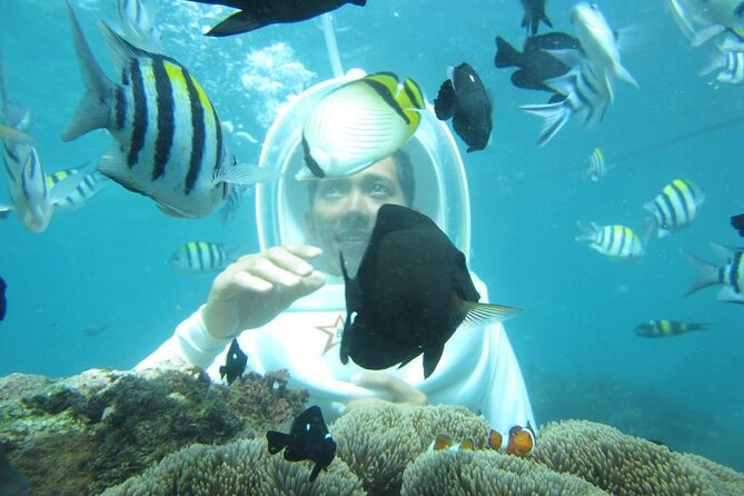 Nusa Penida Trip with Snorkeling all-Inclusive - A full Nusa Penida day from Ubud