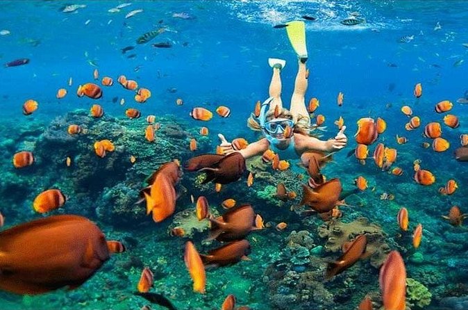Nusa Penida Trip with Snorkeling all-Inclusive - Local lunch and the value of the package