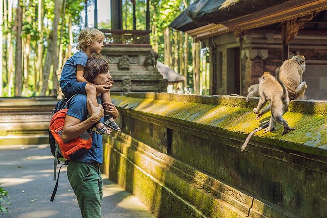 One Day Tour Ubud With Private Guide - Key points to know before you go