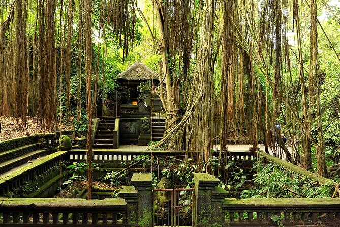 One Day Tour Ubud With Private Guide - Why this private Ubud route works