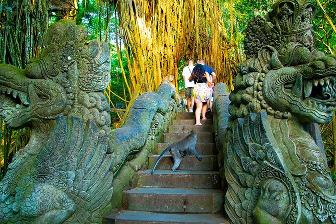 One Day Tour Ubud With Private Guide - Tegalalang rice terraces and the Bali swing