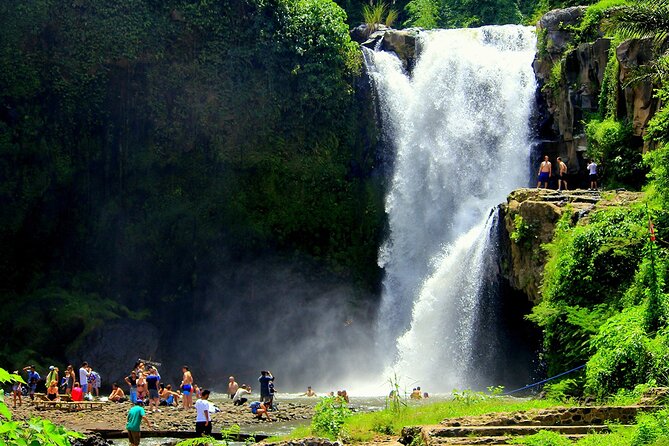 One Day Tour Ubud With Private Guide - Coffee, forest views, and a short pause