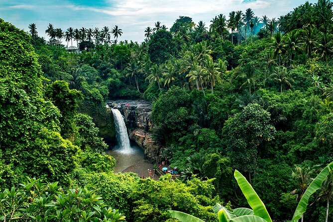 One Day Tour Ubud With Private Guide - The waterfall choice: Tegenungan or Ulu Petanu