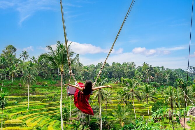 One Day Tour Ubud With Private Guide - What is included, and where your budget can grow