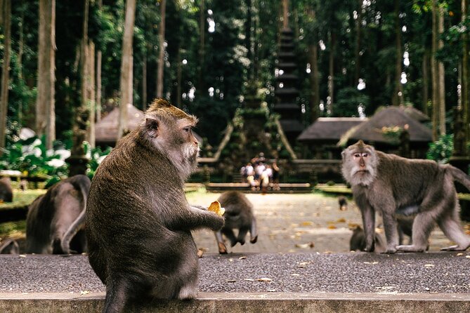 One Day Tour Ubud With Private Guide - Monkey Forest, an easy first taste of Ubud
