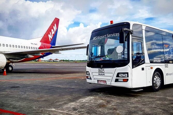 Private Bali Airport Arrival Transfer: Airport to Hotel (Arrival) - What the private vehicle is like