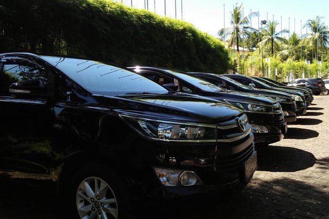 Private Bali Airport Arrival Transfer: Airport to Hotel (Arrival) - The ride to Ubud, Nusa Dua, or the coast