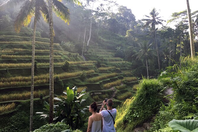 Private Bali Custom Tour – Full Day with English-Speaking Driver - What your private car and driver provide