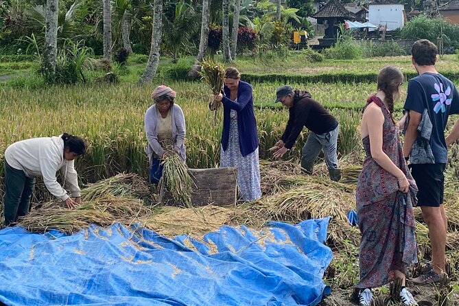 Private Bali Custom Tour – Full Day with English-Speaking Driver - Southern Bali means cliffs, beaches, and a long day