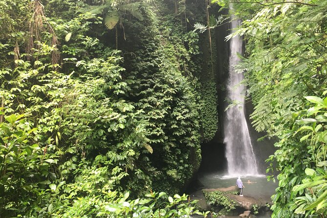 Private Bali Custom Tour – Full Day with English-Speaking Driver - Entrance fees can change the real price