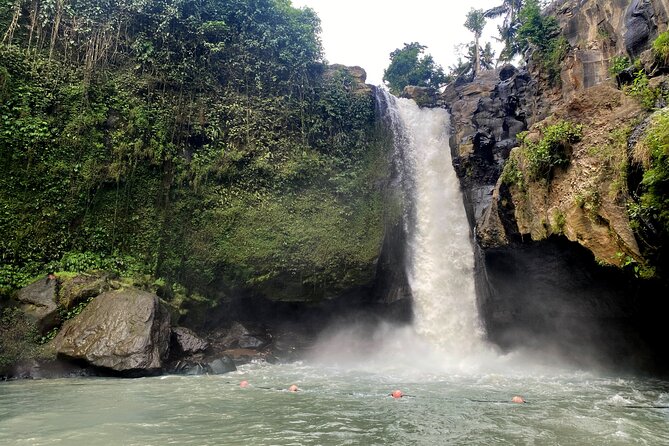 Private Bali Custom Tour – Full Day with English-Speaking Driver - Building a smart Ubud route