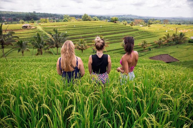 Private Bali Tour: The Most Scenic Places - Luhur Batukaru Temple at Mount Batukaru