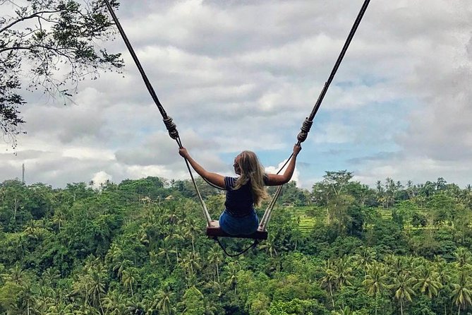 Private Bali Tour: Wonderful Ubud with Swing - Tegenungan Waterfall: water, steps, and a change of pace
