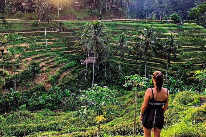 Private Bali Tour: Wonderful Ubud with Swing - Tegalalang Rice Terrace: the classic Ubud view