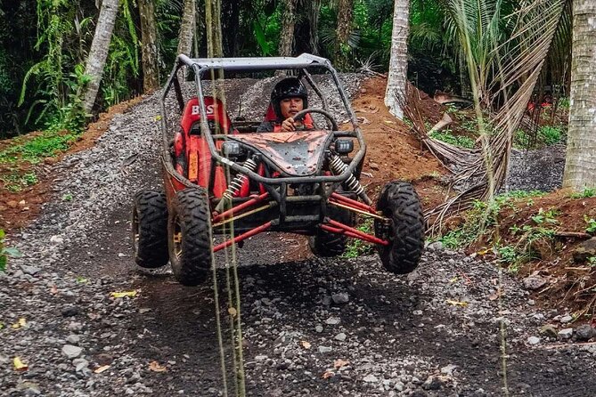 Private Bali UTV Adventure - Rice fields, jungle, caves, and waterfalls