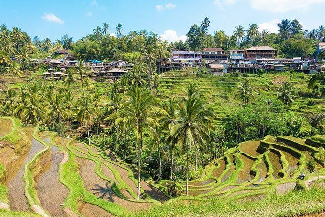 Private Car Charter - Explore Best of Bali - Tegalalang Rice Terrace and the swing question