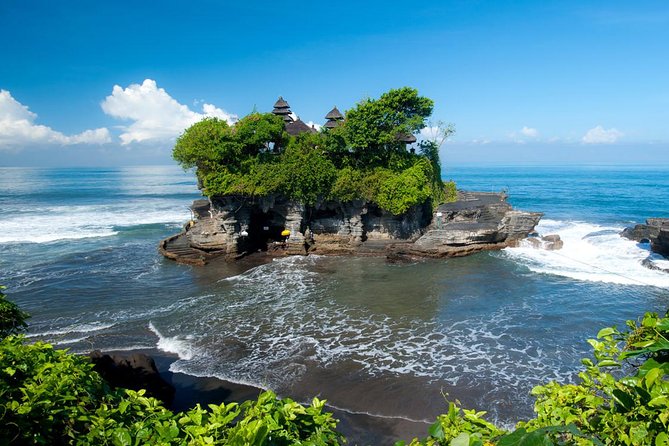 Private Car Charter - Explore Best of Bali - Monkey Forest: worthwhile, but keep expectations clear