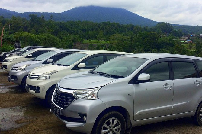Private Car Charter - Explore Best of Bali - Tegenungan Waterfall: an easy nature stop near Ubud