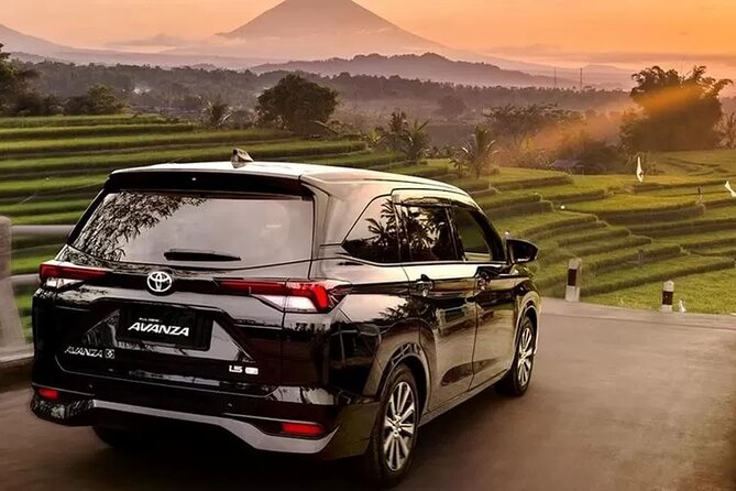 Private Car Charter Tour With Driver In Bali - Key points to know before you book