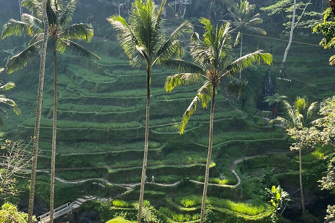 Private Car Charter Tour With Driver In Bali - Choosing between 6, 8, and 10 hours