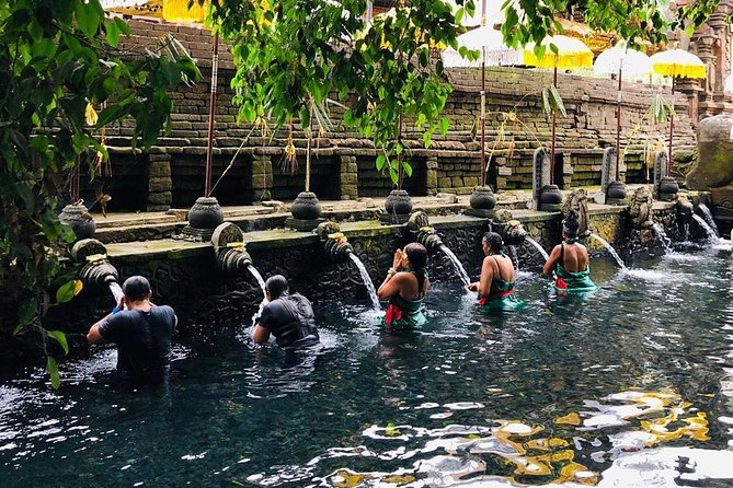 Private Custom Tour: 10-hour Tailor Made Tour of Bali - Ubud sights for a short, focused day