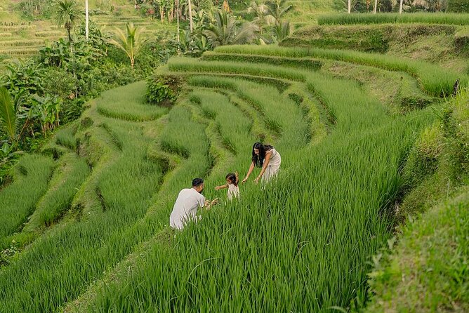 Private Customize Ubud Day Tour With Experienced Driver - Key points to know before booking