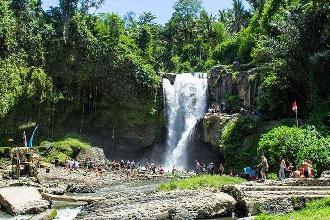 Private Day Tour: The Highlight of Ubud - Tirta Empul and the meaning of holy water
