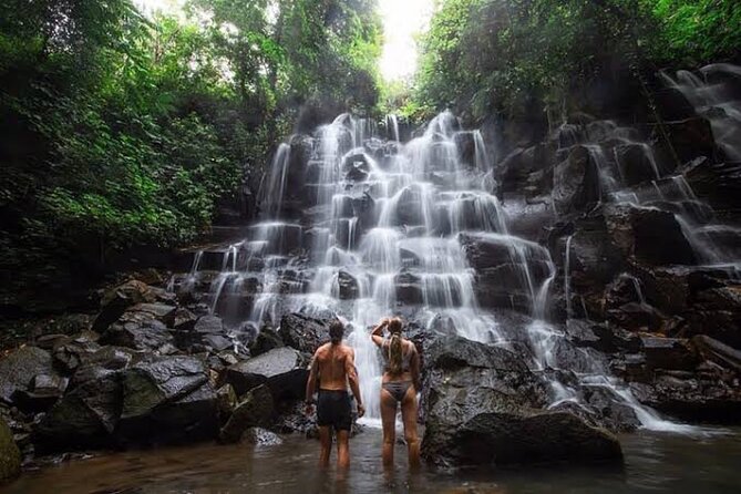 Private Day Tour To Waterfalls And Ubud Sightseeing - Key points at a glance