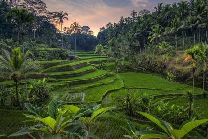Private Day Tour To Waterfalls And Ubud Sightseeing - Tibumana for a quieter waterfall stop