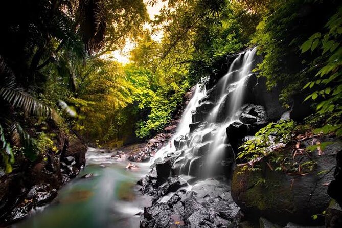 Private Day Tour To Waterfalls And Ubud Sightseeing - Tegallalang’s rice terrace views
