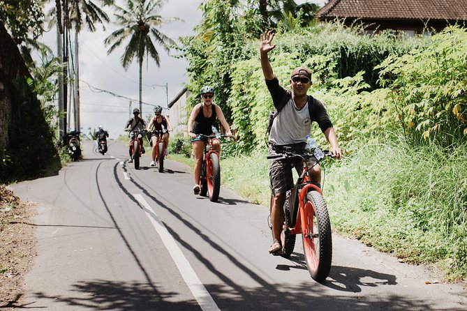 Private Fat Tire E-Bike Tour in Ubud - What the ride feels like on the road