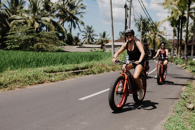 Private Fat Tire E-Bike Tour in Ubud - Tegalalang Rice Terrace in 15 minutes