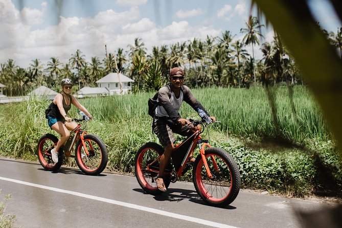 Private Fat Tire E-Bike Tour in Ubud - Food, water, and the small practical comforts
